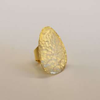 TAIM Ring Alenga Gold