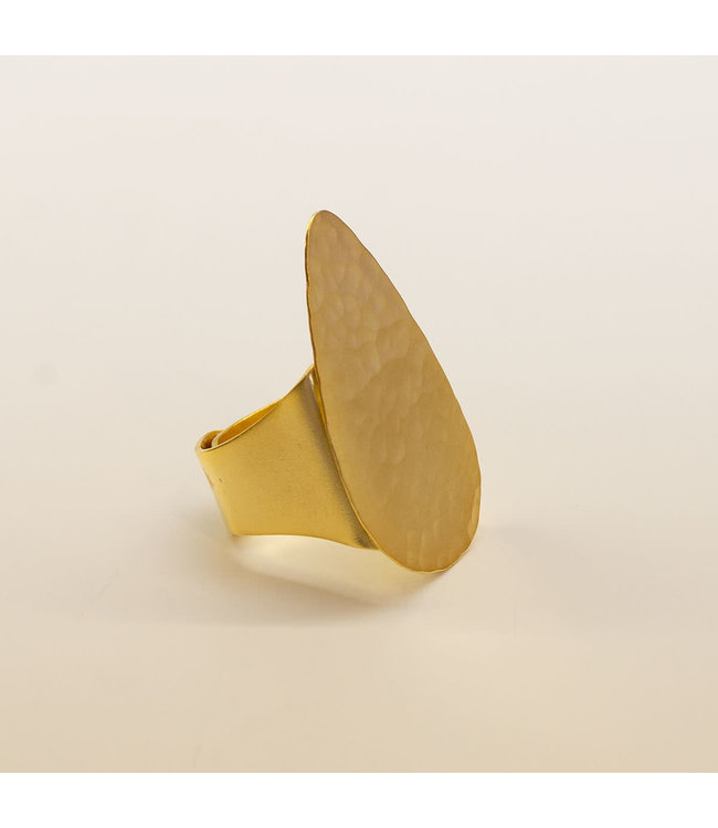 TAIM Ring Alega Goud