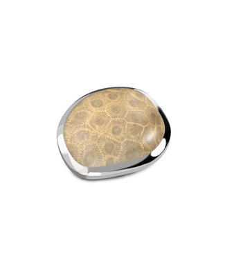 MelanO KO Shaped Disk Fossil Coral