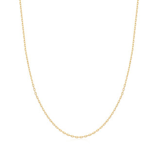 Ania Haie Halsketting Charm Gold mini link chain