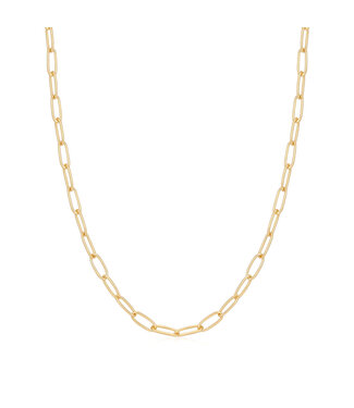 Ania Haie Halsketting Charm Gold link chain