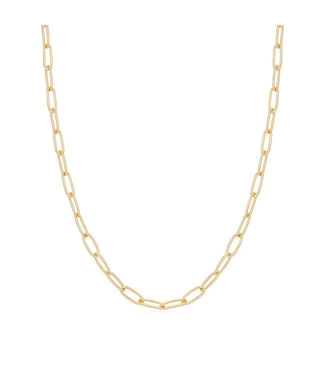 Ania Haie Halsketting Charm Gold link chain