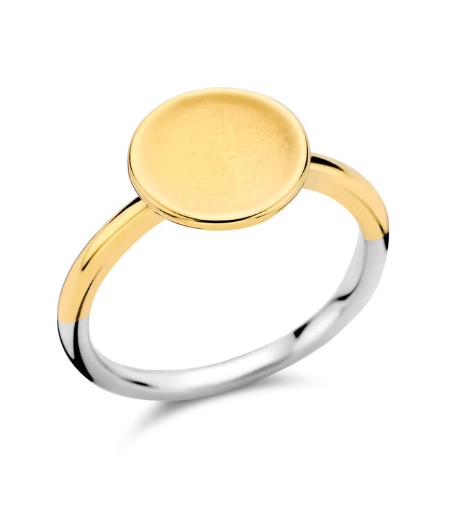 Silver Rose Ring Cato Goud