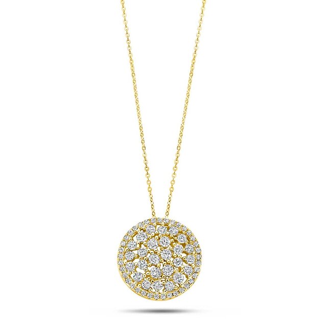Silver Rose Halsketting Amberly Goud