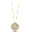 Silver Rose Halsketting Amberly Goud