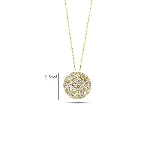 Silver Rose Halsketting Amberly Goud