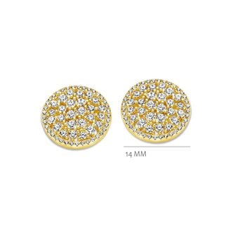 Silver Rose Oorring Avelin Goud