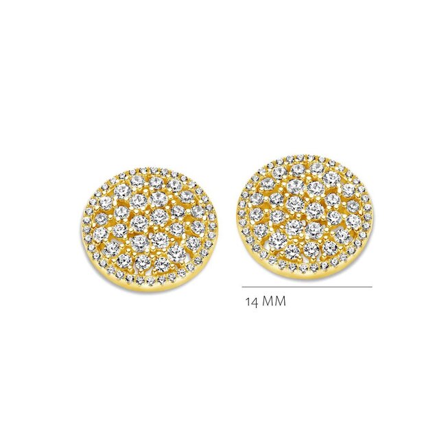 Silver Rose Oorring Avelin Goud