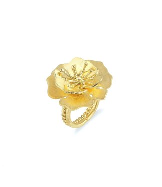 Christine Bekaert Ring Cosmos Small