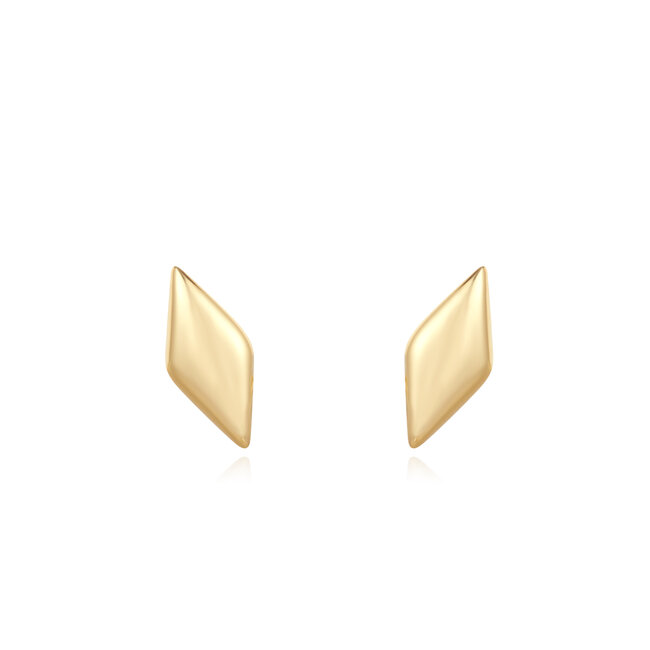 Ania Haie Oorring Sparkle Studs
