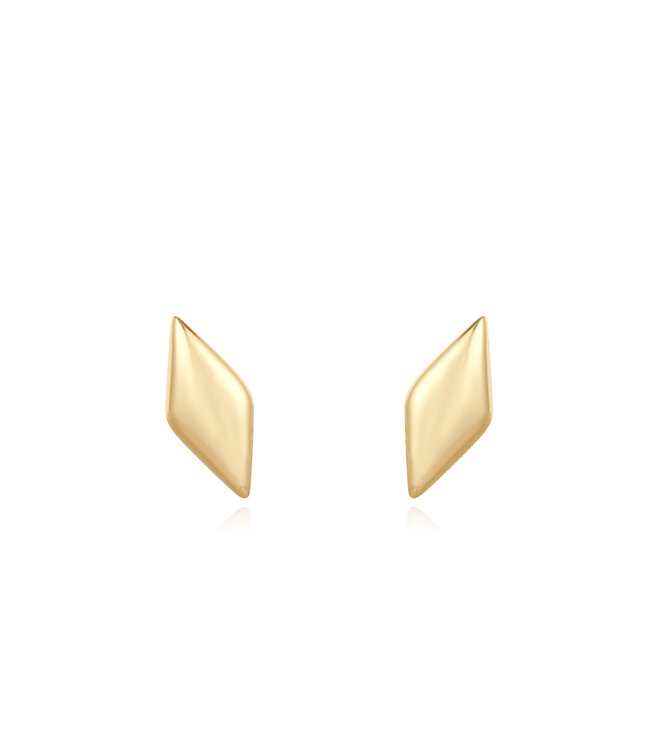 Ania Haie Oorring Sparkle Studs