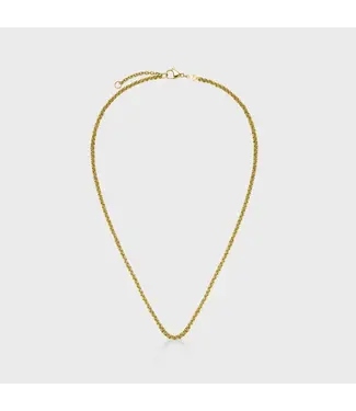 Cluse Halsketting Essentielle double link chain gold