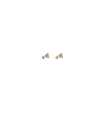 Alisia Oorring Trinity