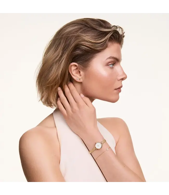 Daniel Wellington Uurwerk Petite Mini Goud