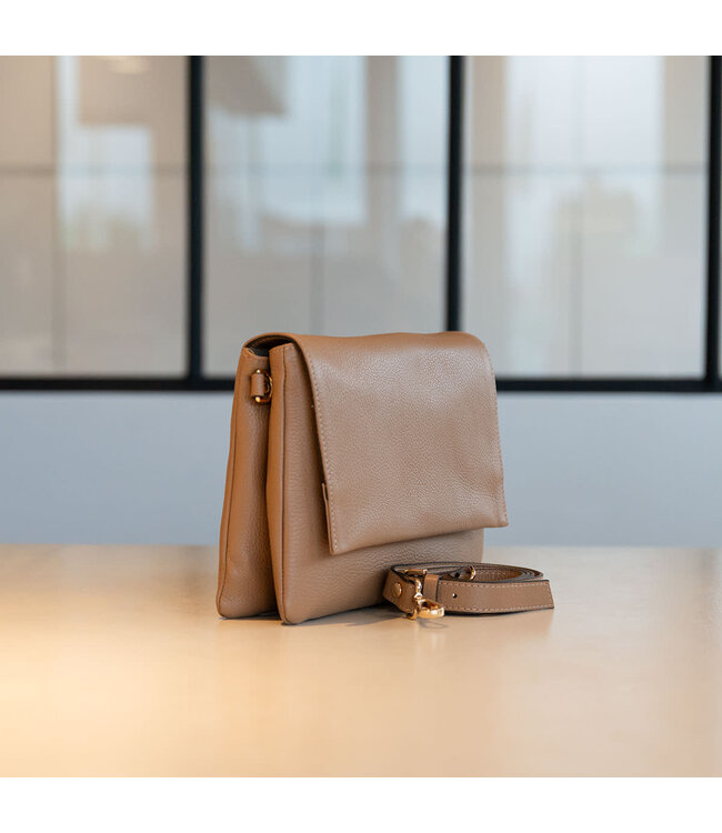 Carol J Handtas Arianna Tan