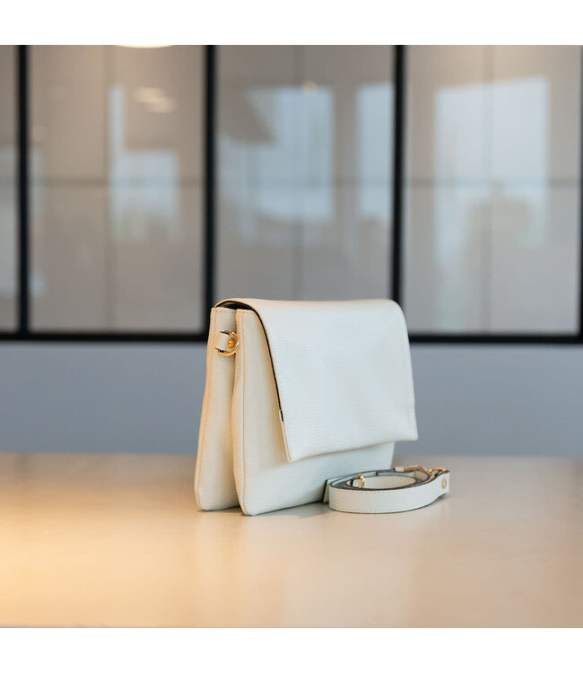 Carol J Handtas Arianna Panna