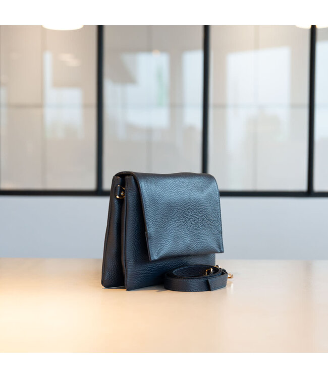 Carol J Handtas Arianna Blu