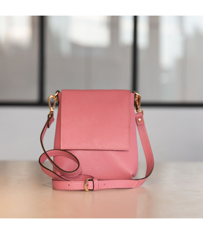 Carol J Handtas Armonda Fuxia