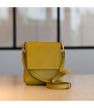 Carol J Handtas Armonda Kiwi