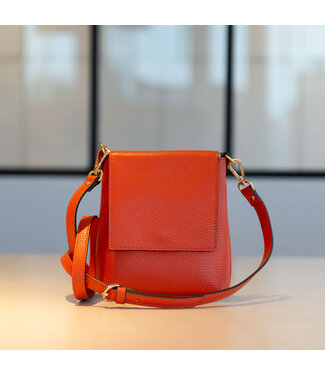 Carol J Handtas Armonda Orange