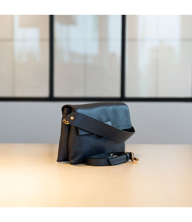 Carol J Handtas Arietta Blu