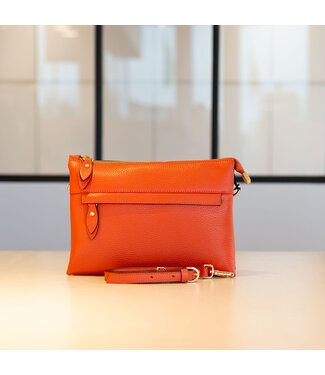 Carol J Handtas Angelina Orange