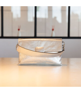 Carol J Handtas Arietta Silver