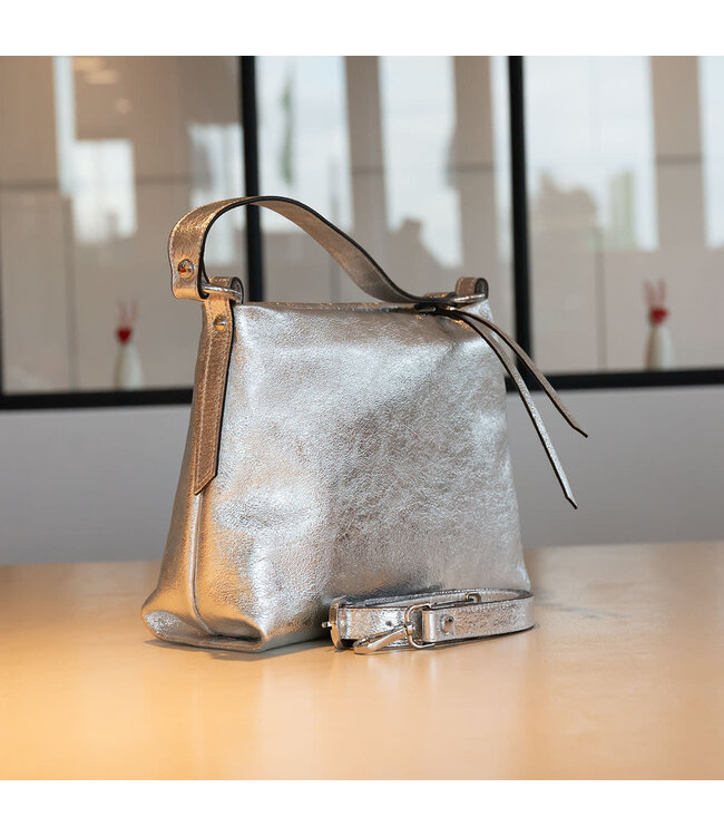 Carol J Handtas Amra Silver