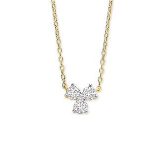 Silver Rose Halsketting Katho