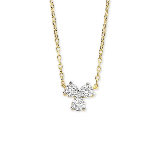 Silver Rose Halsketting Katho