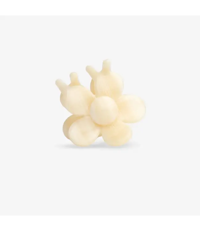 Sasstie Haarspeld Bloomie Macadamia