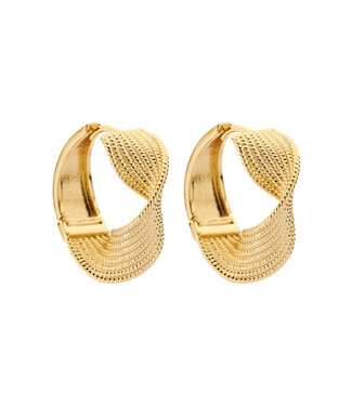 Les Cordes Oorring XOB48 Goud