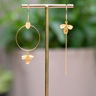 Murielle Perrotti Oorring Louve