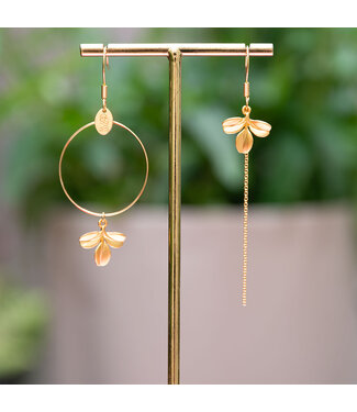 Murielle Perrotti Oorring Louve