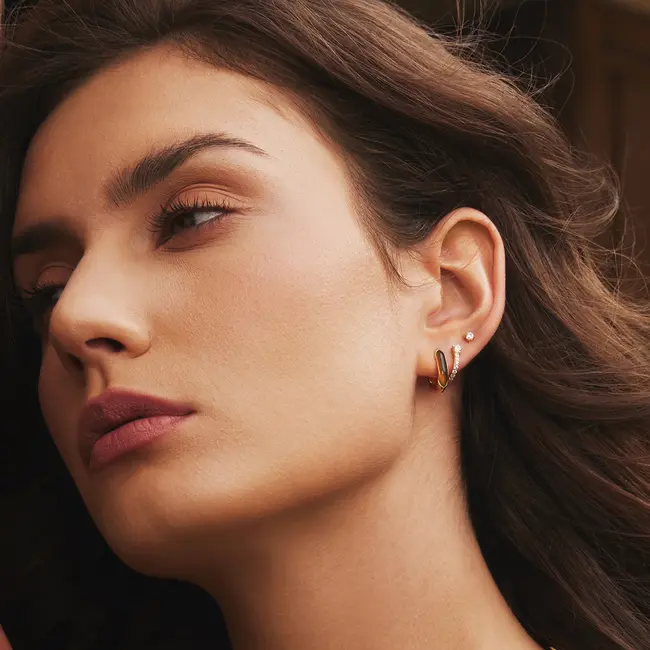 Ania Haie Oorring Gold Sparkling Pavé Huggie Hoop