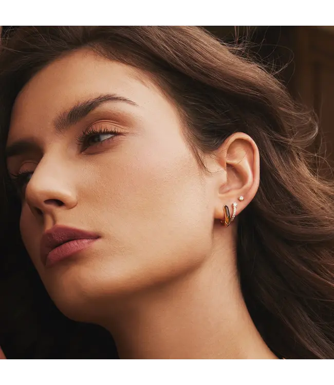 Ania Haie Oorring Gold Sparkling Pavé Huggie Hoop