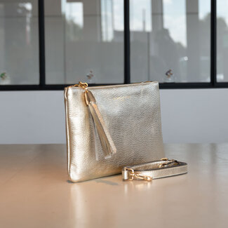 Carol J Sac Amira Platino