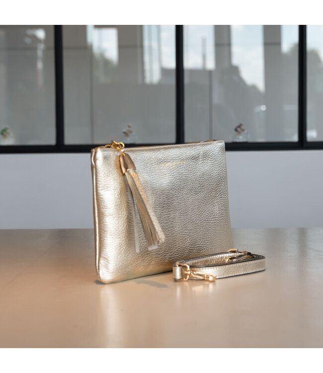 Carol J Sac Amira Platino