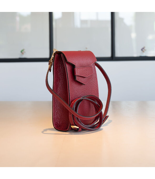 Carol J Handbag Armonda Bordeaux