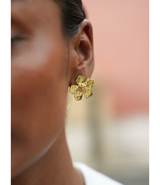 Christine Bekaert Oorring Everbloom Studs Medium