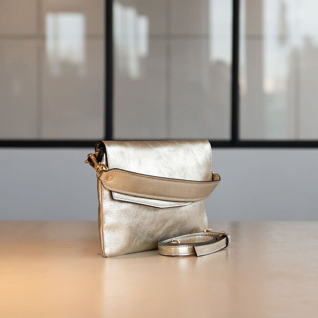 Carol J Handtas Angela Platino