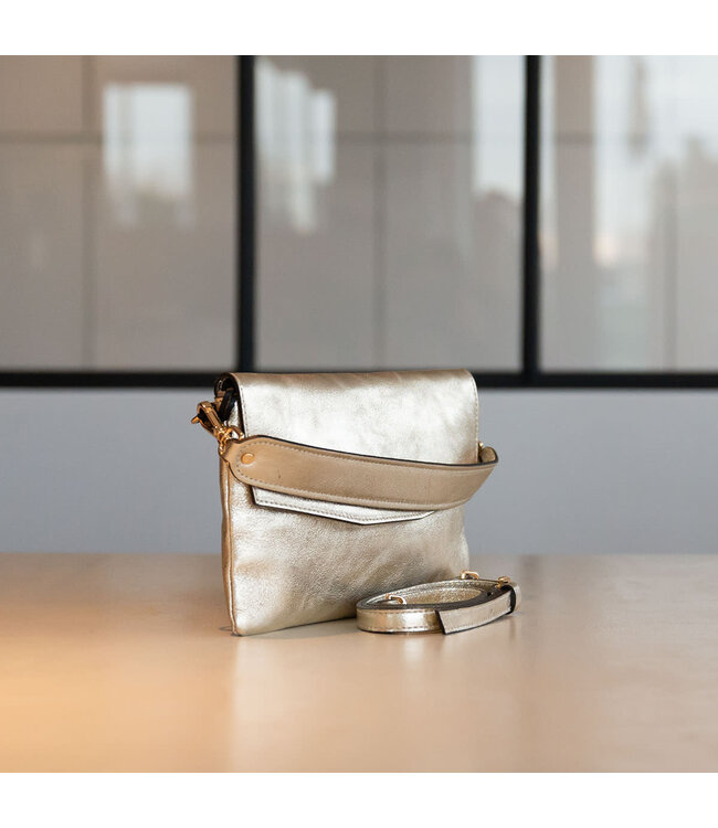 Carol J Handtas Angela Platino