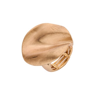 Les Cordes Ring BR15 Goud Mat