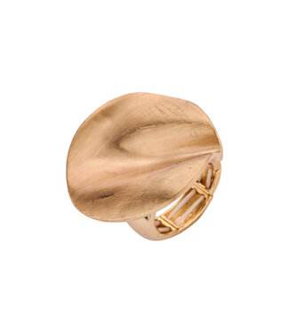 Les Cordes Ring BR15 Goud Mat