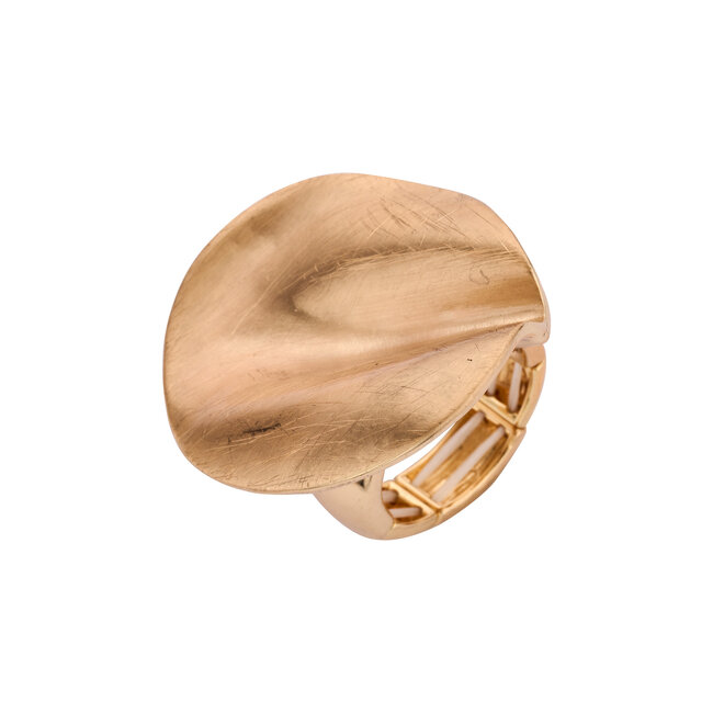 Les Cordes Ring BR15 Goud Mat