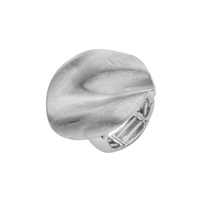Les Cordes Ring BR15 Zilver Mat