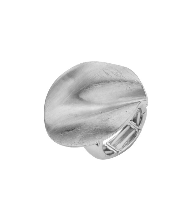 Les Cordes Ring BR15 Zilver Mat