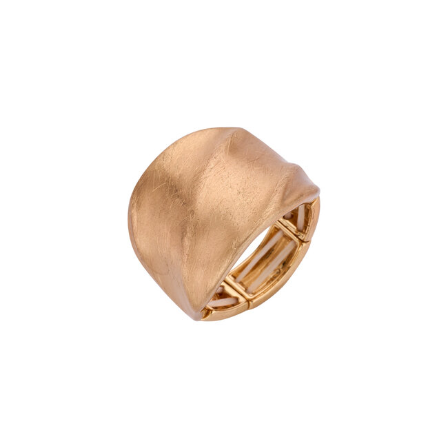 Les Cordes Ring BR16 Goud Mat