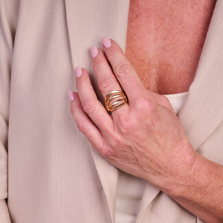 Les Cordes Ring BR14 Goud Mat