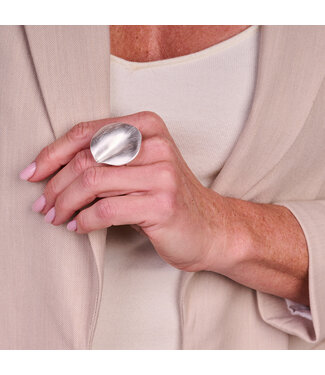 Les Cordes Ring BR15 Zilver Mat